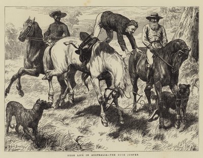 حياة بوش في أستراليا ، باك جامبر بواسطة باسل برادلي